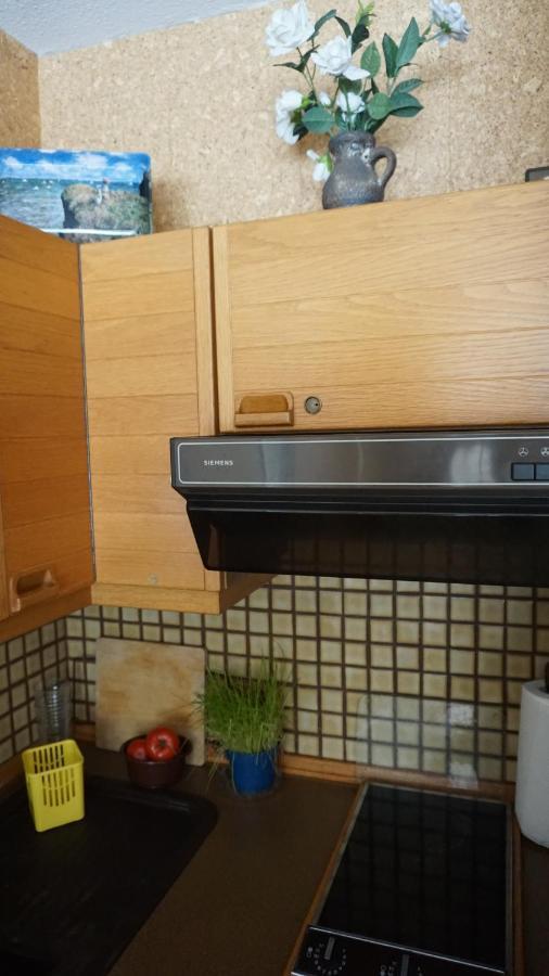 Ferienwohnung Witte Sankt Andreasberg Εξωτερικό φωτογραφία